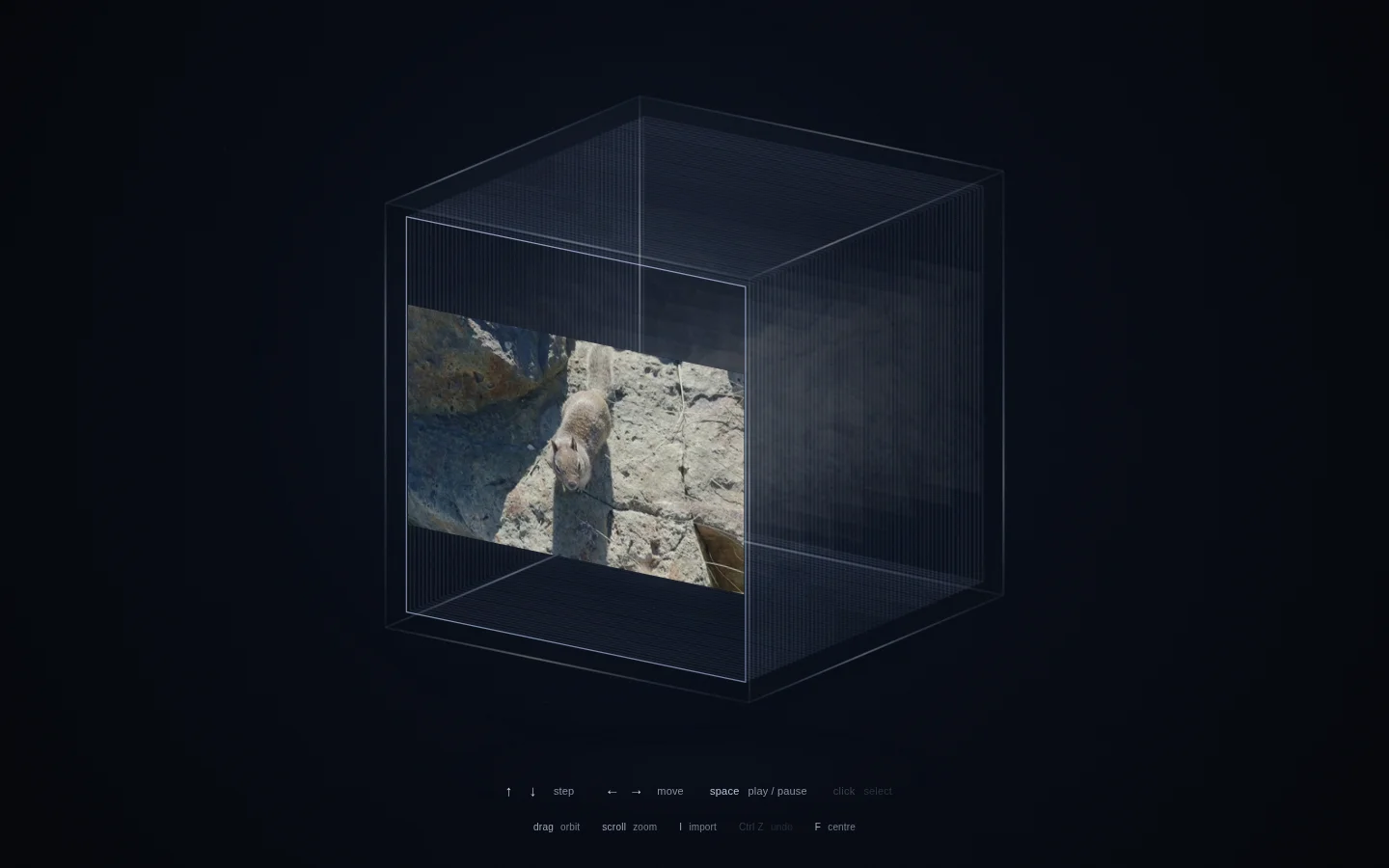 A squirrel video frame suspended inside a translucent dimensional cube